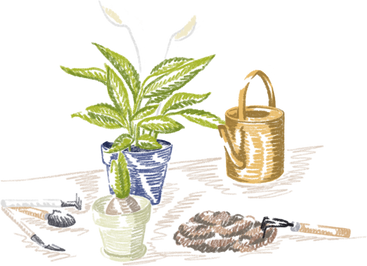 Flower pots, tools for planting on the table PNG, SVG