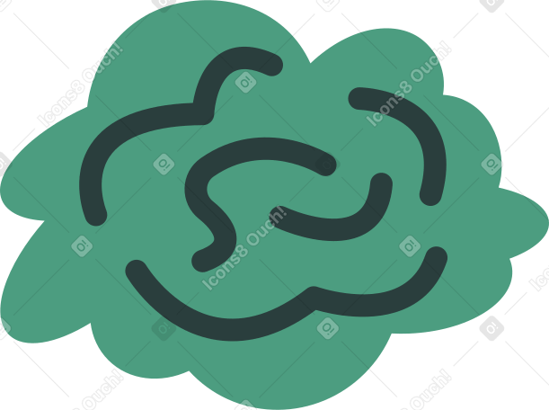 cabbage PNG, SVG