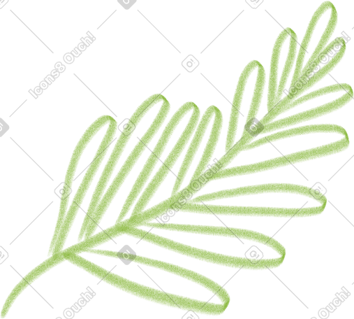 fern leaf PNG, SVG