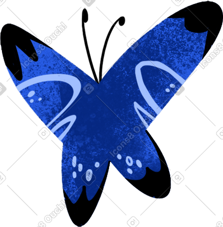 blue butterfly PNG, SVG