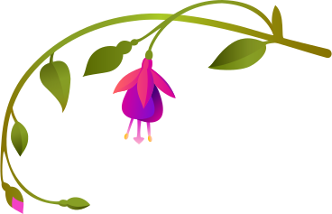 fuchsia flowers on a small twig PNG, SVG