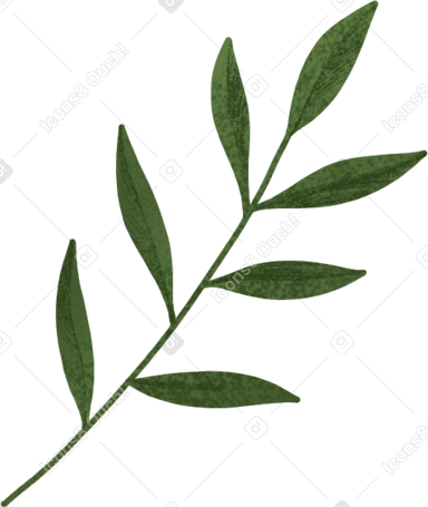 緑の小枝 PNG、SVG