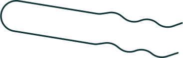 invisible hairpin PNG, SVG