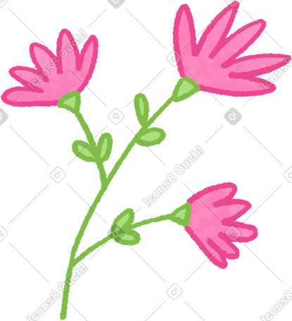 pink flowers PNG, SVG