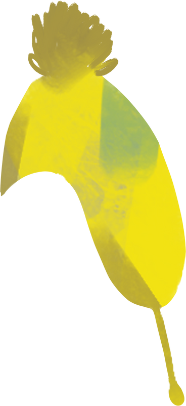 Yellow hat PNG、SVG