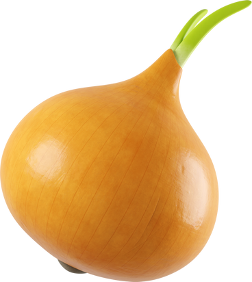 onion PNG, SVG