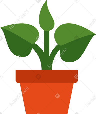 plant in pot Illustration in PNG, SVG