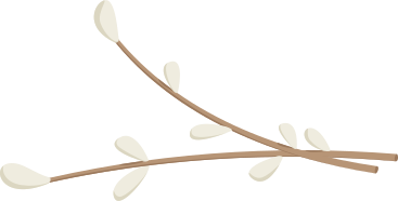 柳の小枝 PNG、SVG
