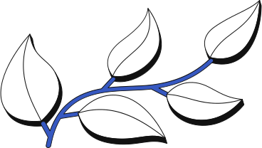 sprig with leaves PNG, SVG