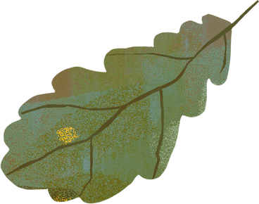 잎 PNG, SVG
