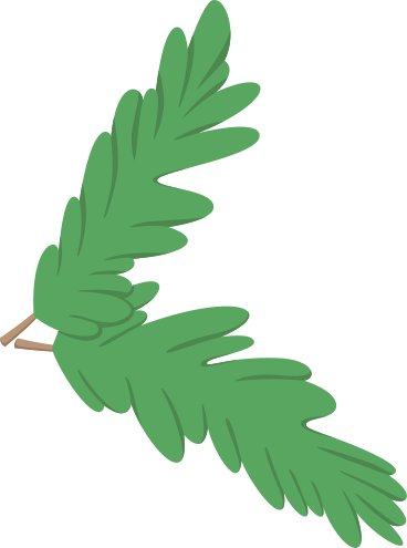 christmas tree branches PNG, SVG