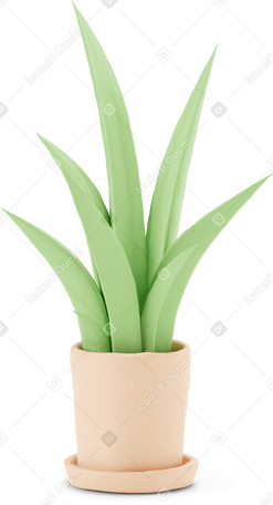 3D 베이지색 냄비에 밝은 녹색 식물 PNG, SVG