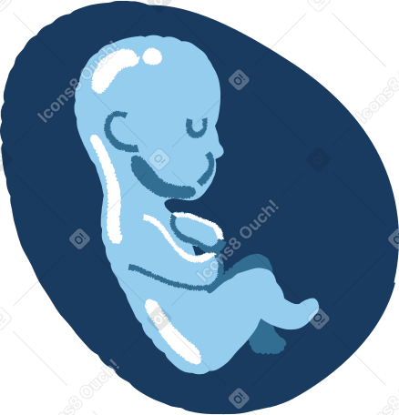 baby on ultrasound PNG、SVG