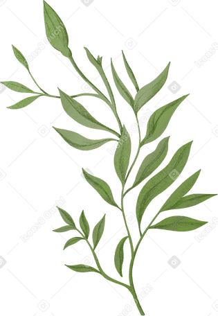 large green branch with leaves and a bud PNG, SVG