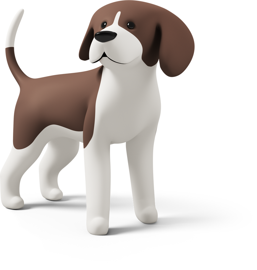 front view of a beagle dog Illustration in PNG, SVG
