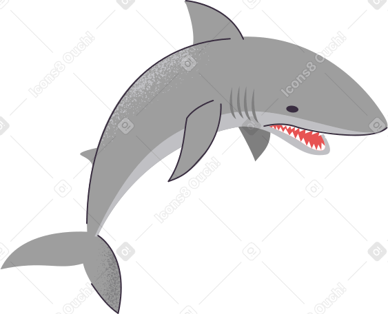 Акула в PNG, SVG