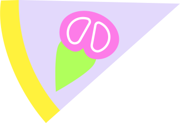 slice of pizza PNG, SVG