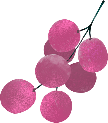 grape PNG, SVG