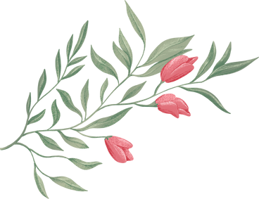 delicate green branch with three rose buds PNG, SVG