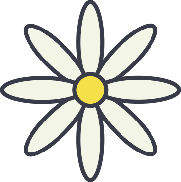 Camomille PNG, SVG
