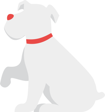 gray dog schnauzer PNG, SVG