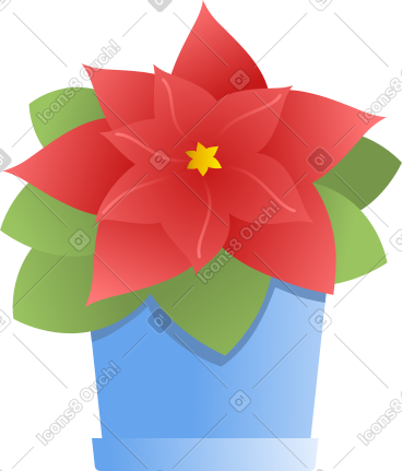 一品红 PNG, SVG