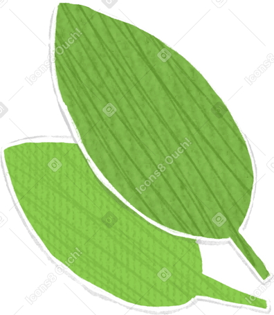 two green leaves PNG, SVG