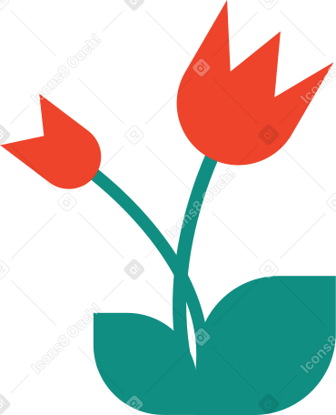 tulip PNG, SVG