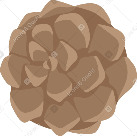 pine cone PNG, SVG