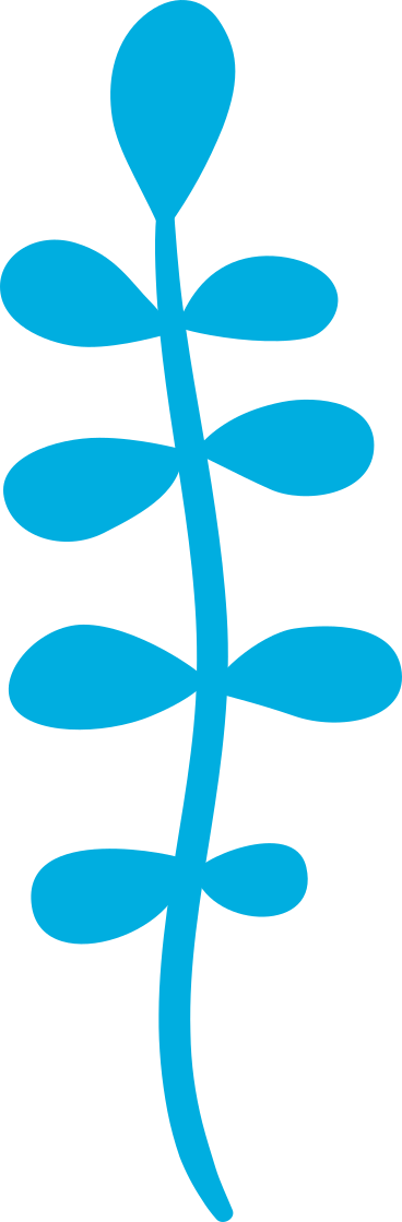 Pflanze PNG, SVG