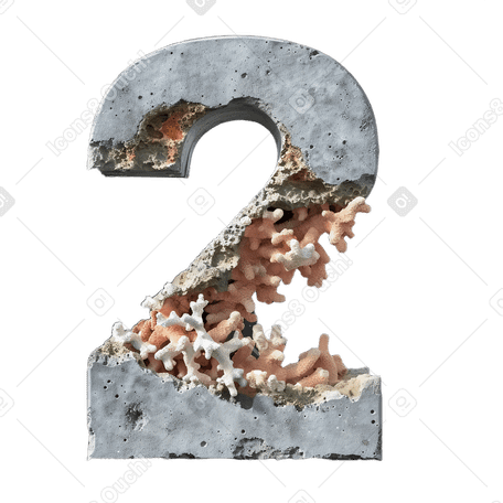concrete number  with corals PNG, SVG