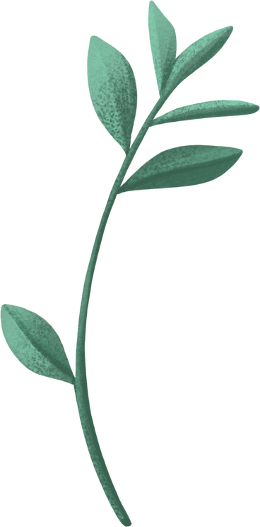 small green twig with several leaves PNG, SVG