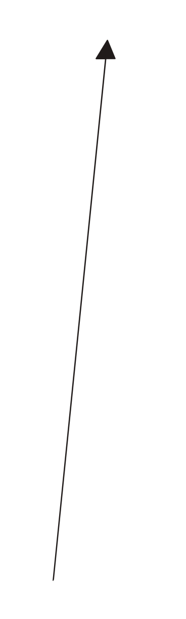 Illustrazione animata Freccia verticale in GIF, Lottie (JSON), AE