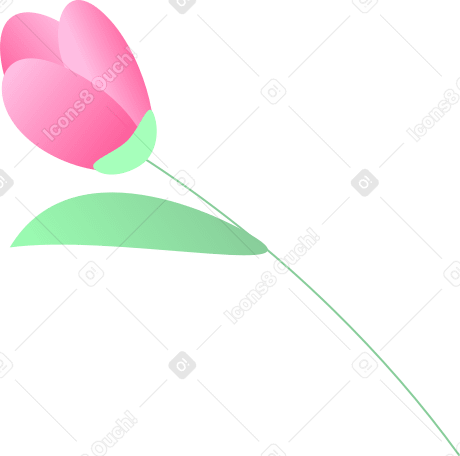 tulipe PNG, SVG