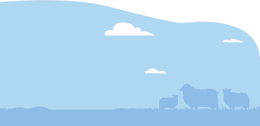 background with meadow and sheep PNG, SVG