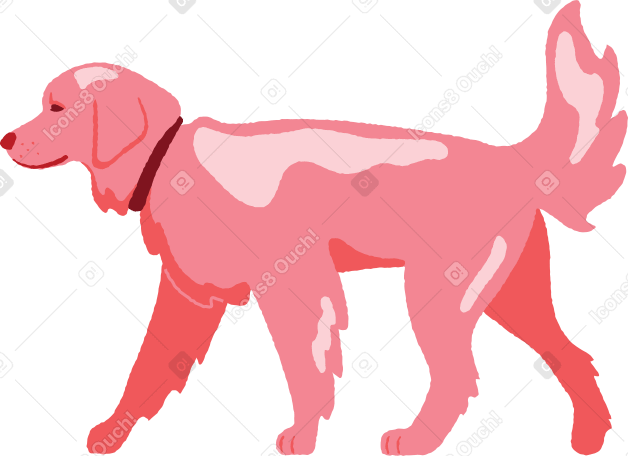 walking dog Illustration in PNG, SVG