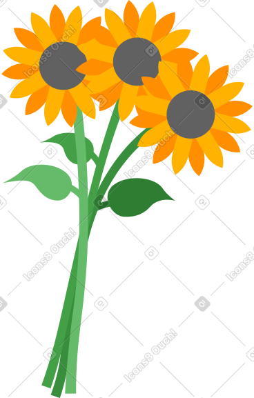 向日葵 PNG, SVG