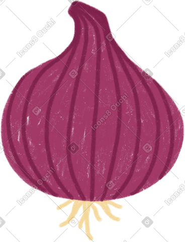 Onion PNG, SVG