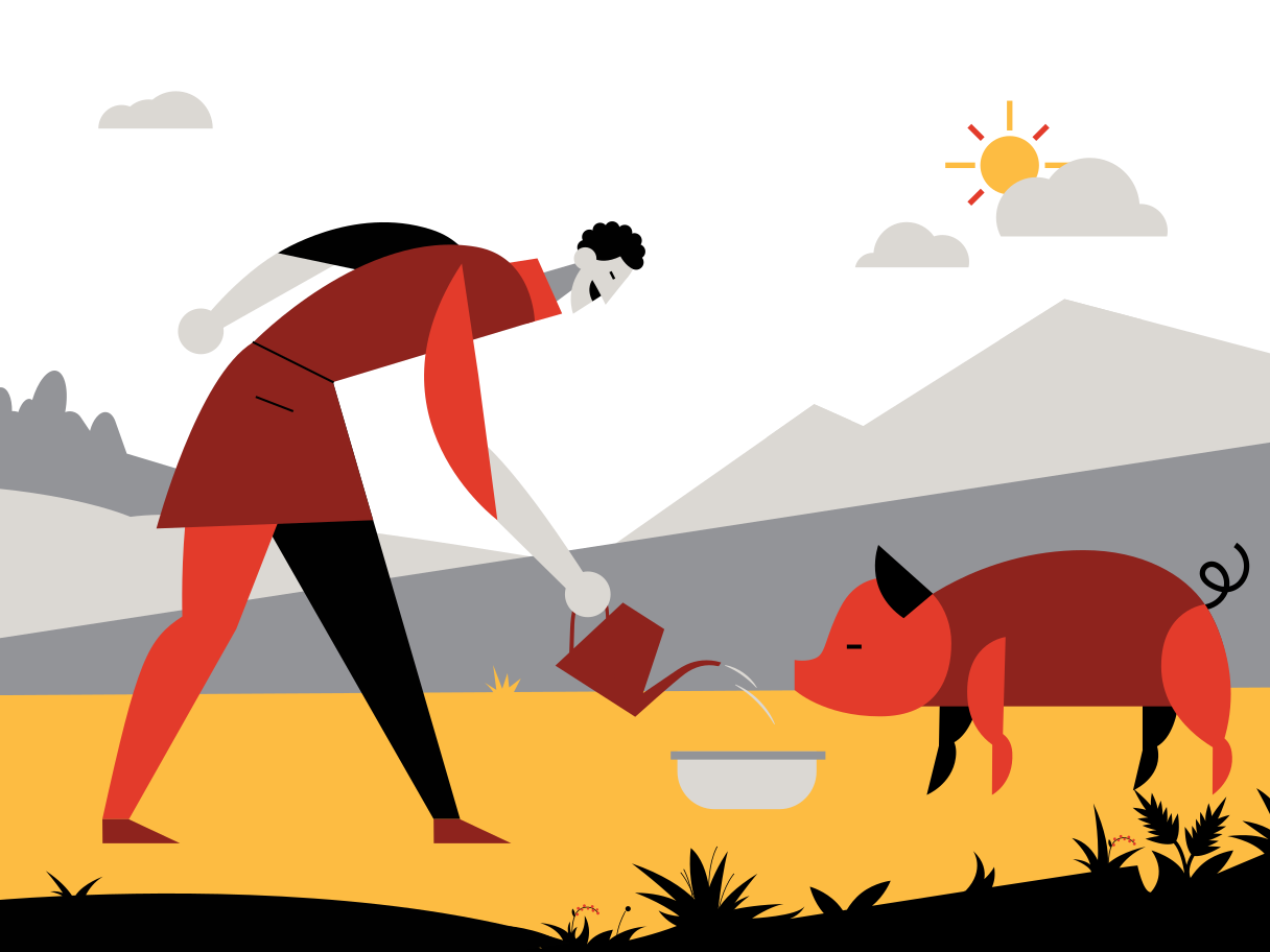 Farm Illustration in PNG, SVG