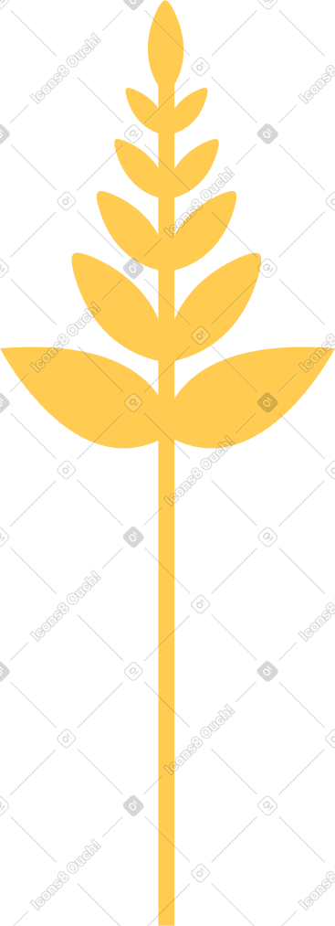 厂 PNG, SVG