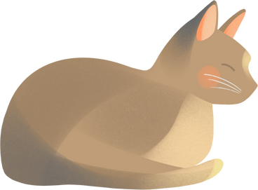 beige cat lies PNG, SVG