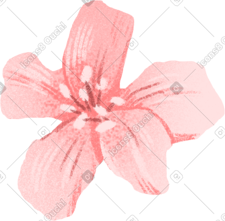 带花瓣的粉红色小花 PNG, SVG