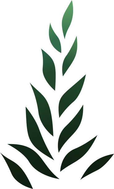 green algae PNG, SVG