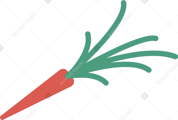 морковь в PNG, SVG