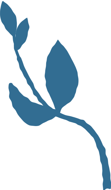 small branch with leaves PNG, SVG