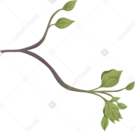 Branche avec des feuilles PNG, SVG