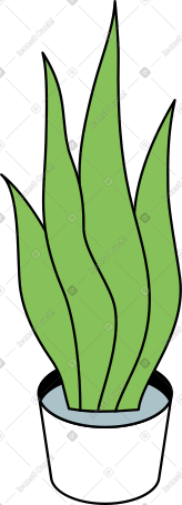 蛇植物 PNG, SVG