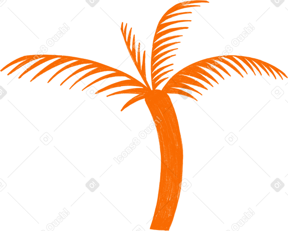 orange palm PNG, SVG