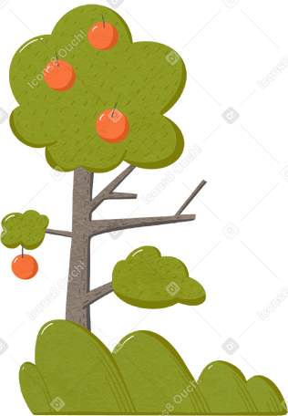 green tree with apples and grass bush PNG, SVG