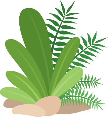tropical plants PNG, SVG